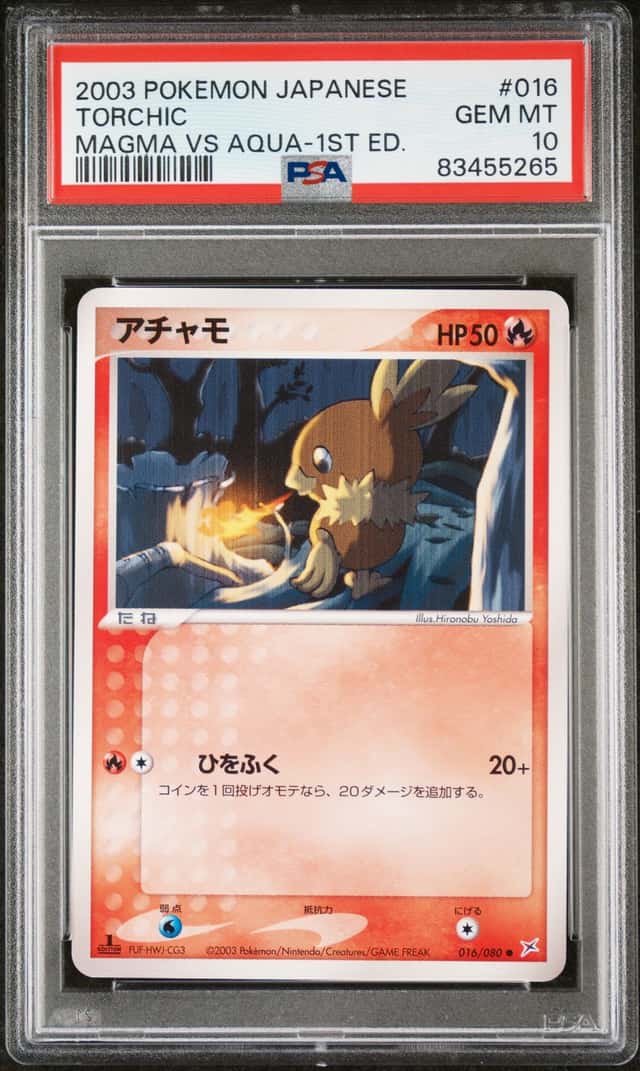 Torchic
