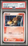 Torchic