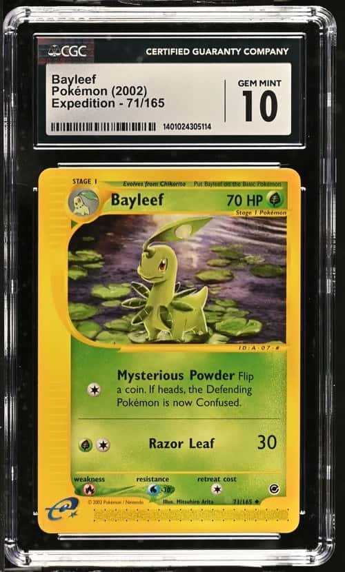 Bayleef