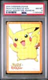 Pikachu'S Rescue Adv