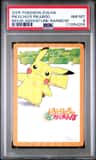 Pikachu'S Pikaboo