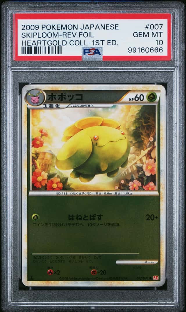 Skiploom