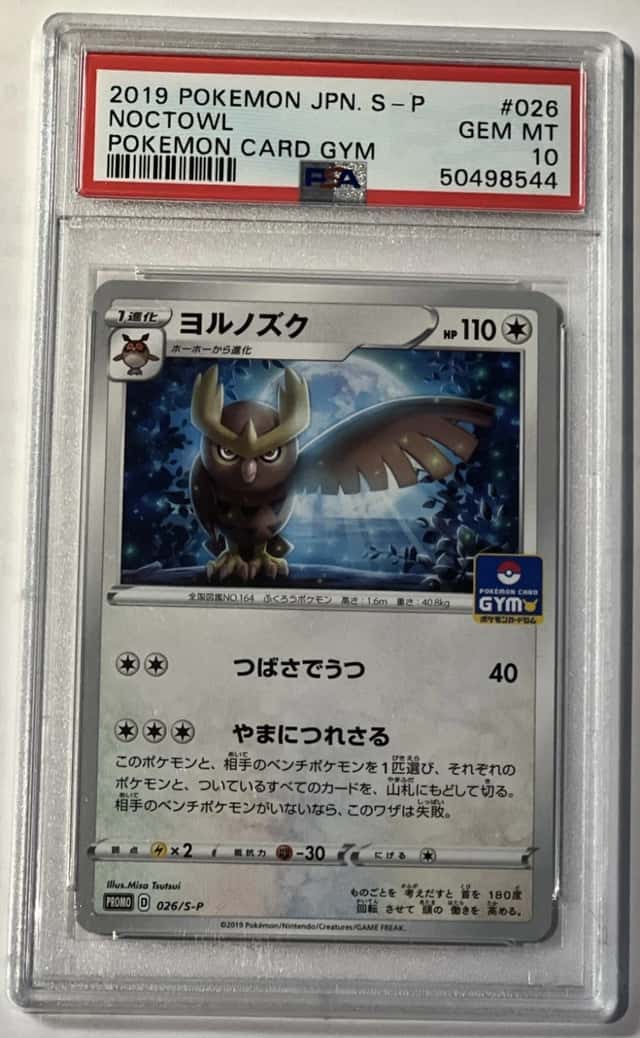 Noctowl