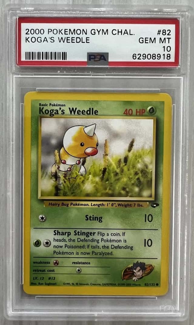 Koga's Weedle