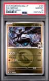 N'S Zekrom