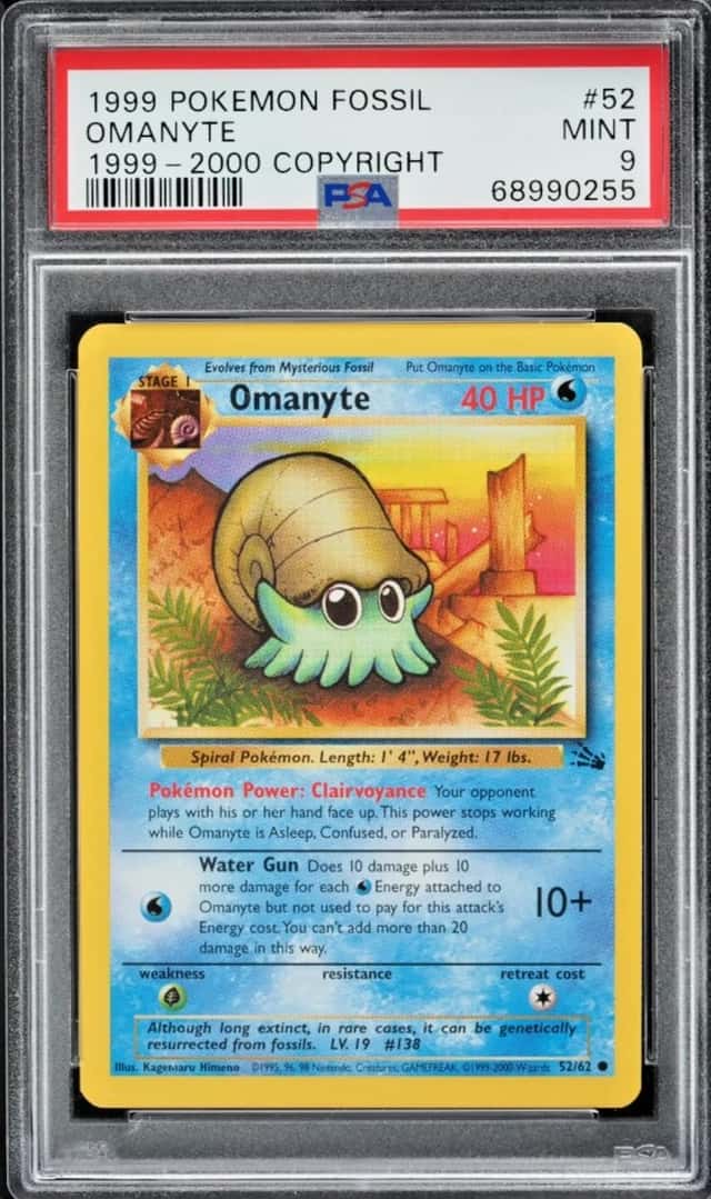 Omanyte