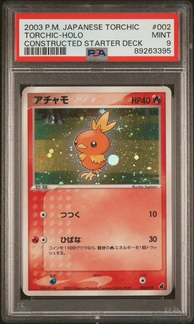 Torchic