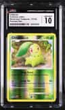 Chikorita