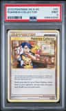 Pokémon Collector