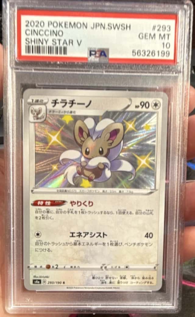 Cinccino