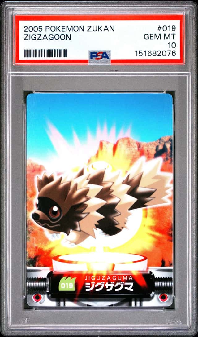 Zigzagoon