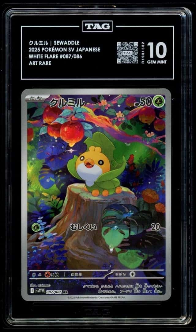 Sewaddle