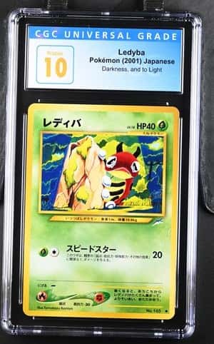 Ledyba