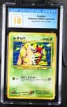 Ledyba