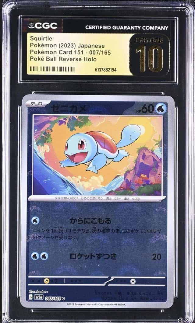 Squirtle