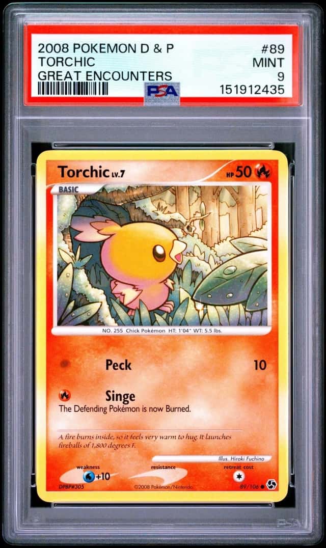 Torchic