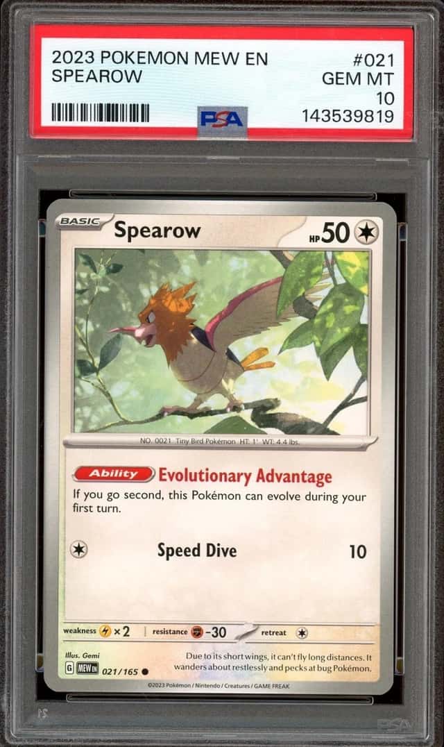 Spearow
