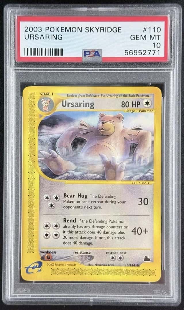 Ursaring