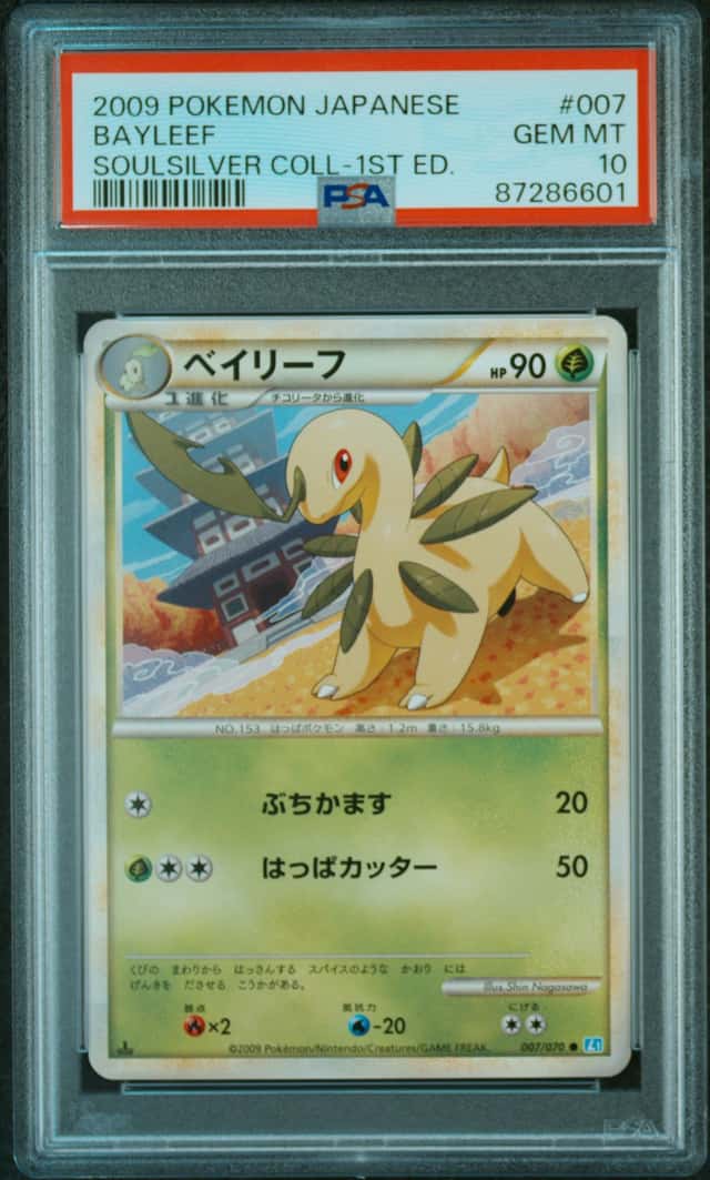 Bayleef