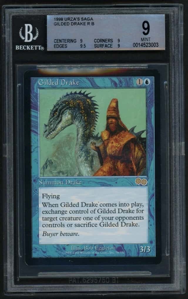 Gilded Drake
