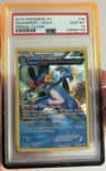 Swampert