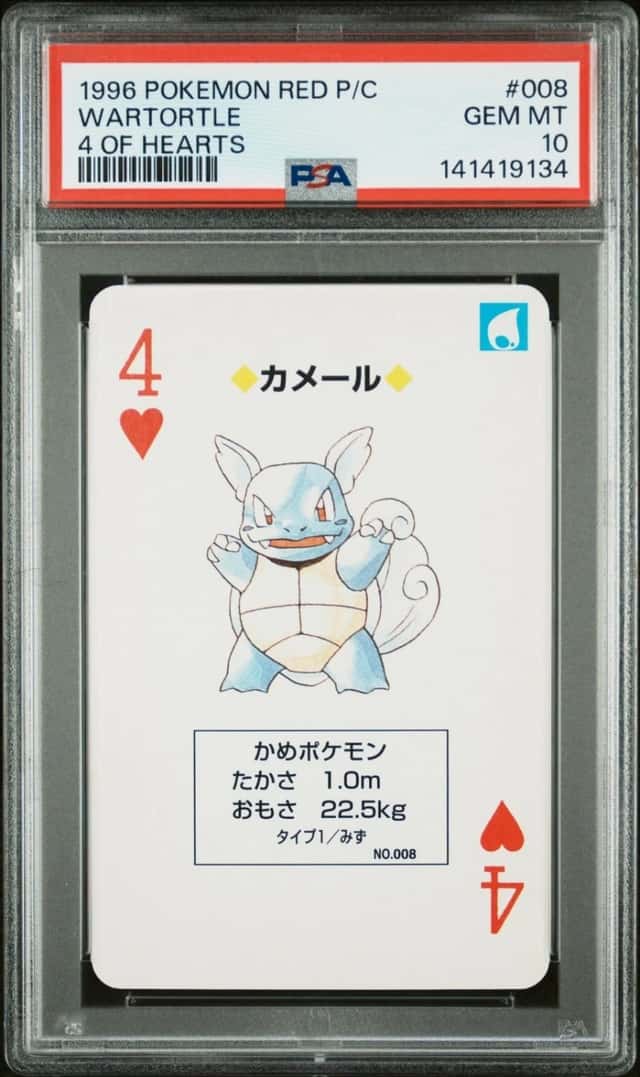 Wartortle