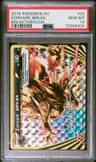 Zoroark Break