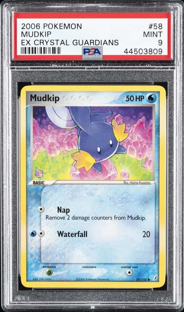 Mudkip