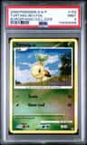 Turtwig