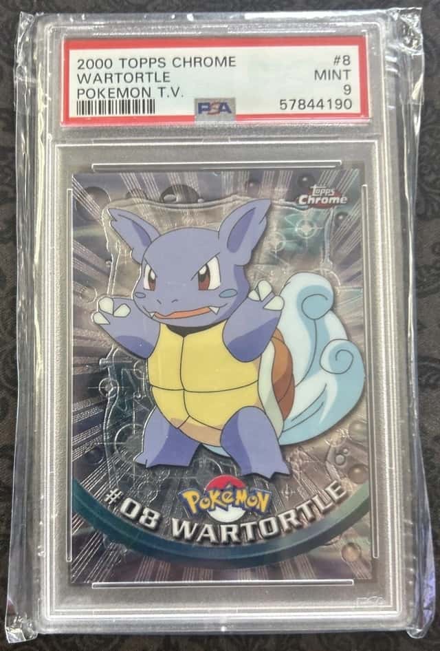 Wartortle