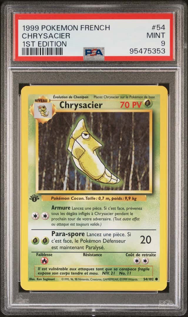 Chrysacier