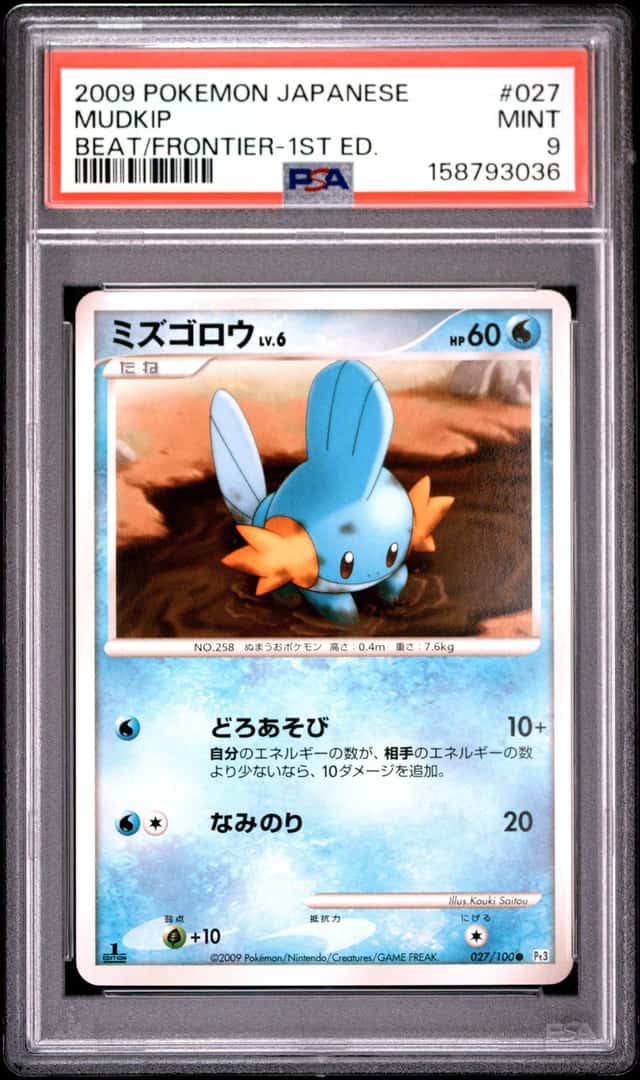 Mudkip