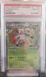 Chesnaught