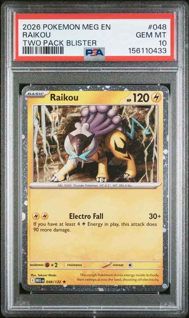 Raikou