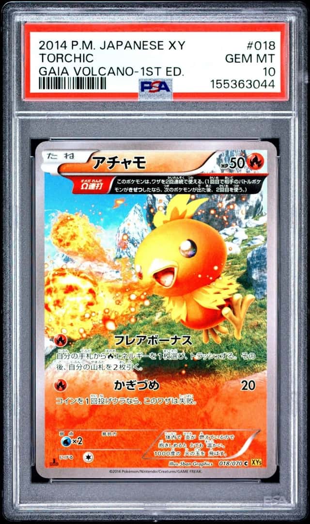 Torchic