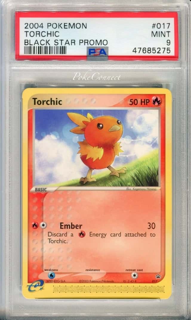 Torchic