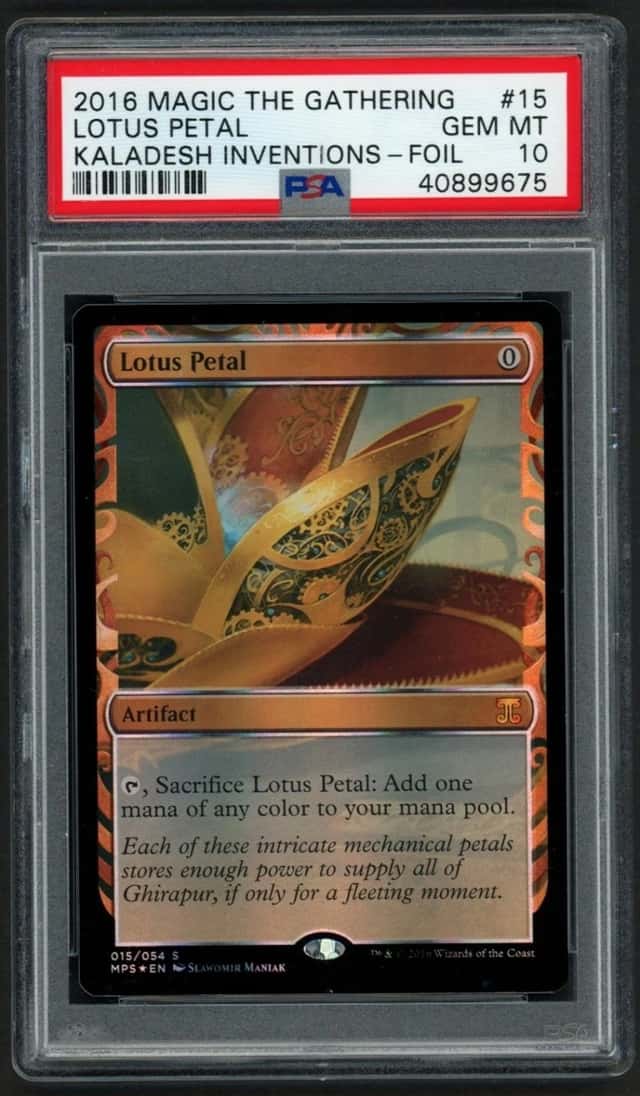 Lotus Petal