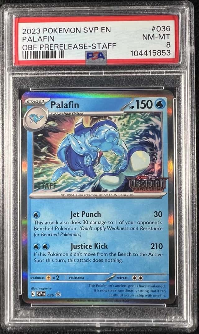 Palafin