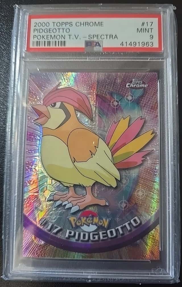Pidgeotto