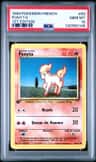 Ponyta