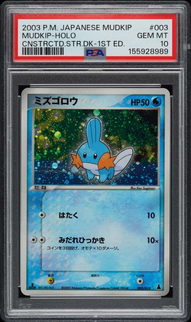 Mudkip