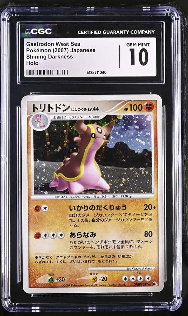 Gastrodon West Sea