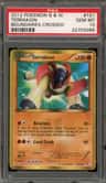 Terrakion