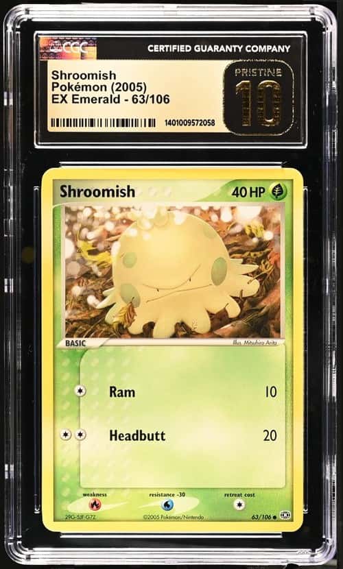 Shroomish