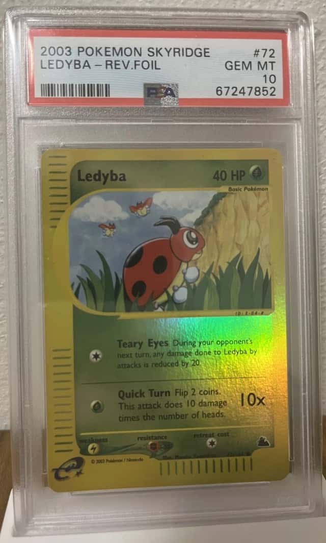 Ledyba