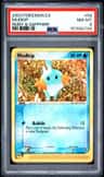 Mudkip
