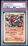 Groudon
