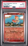 Chimchar