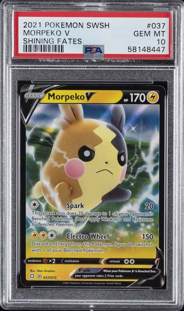 Morpeko V