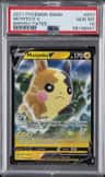 Morpeko V